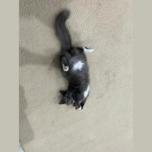 Photo of Keisha