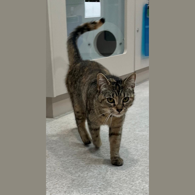 Photo of Sally Field (9004)