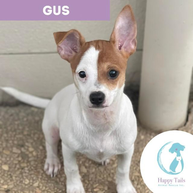 Photo of Gus
