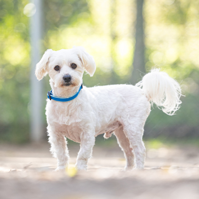 Photo of Benny