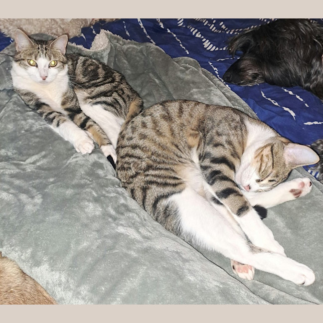 Photo of Everhart & Fairlight