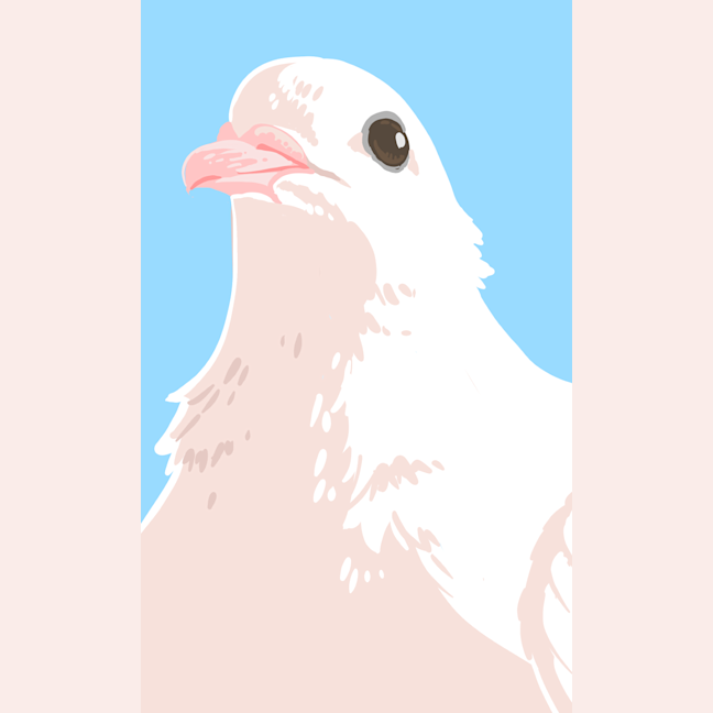 Photo of Peanut