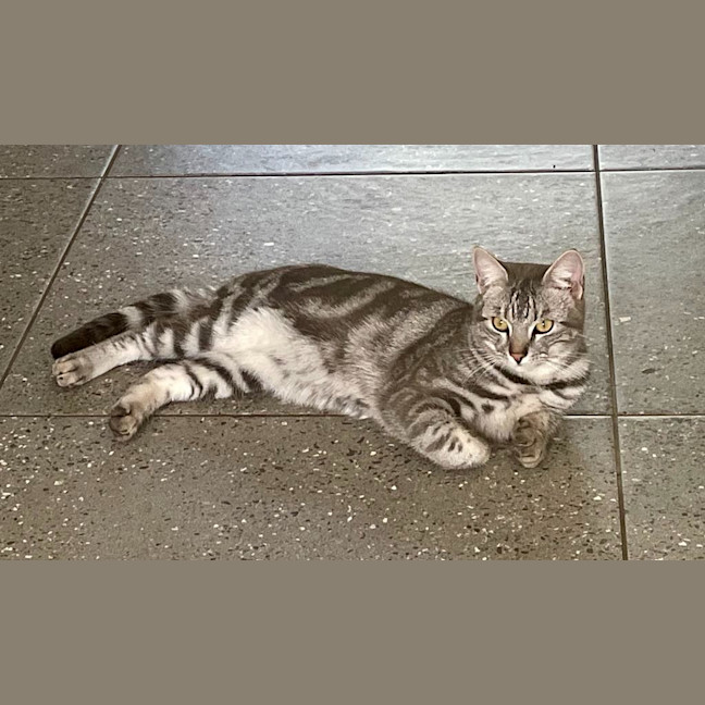 Photo of Cloud