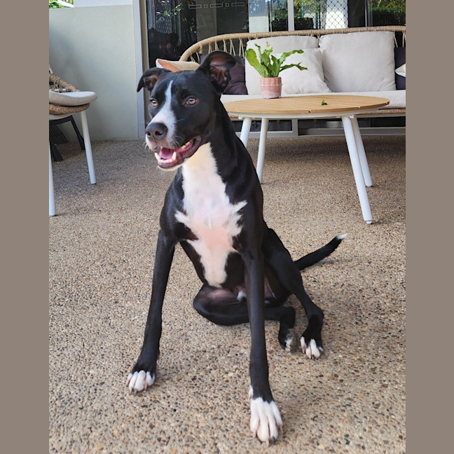 Photo of Jasper