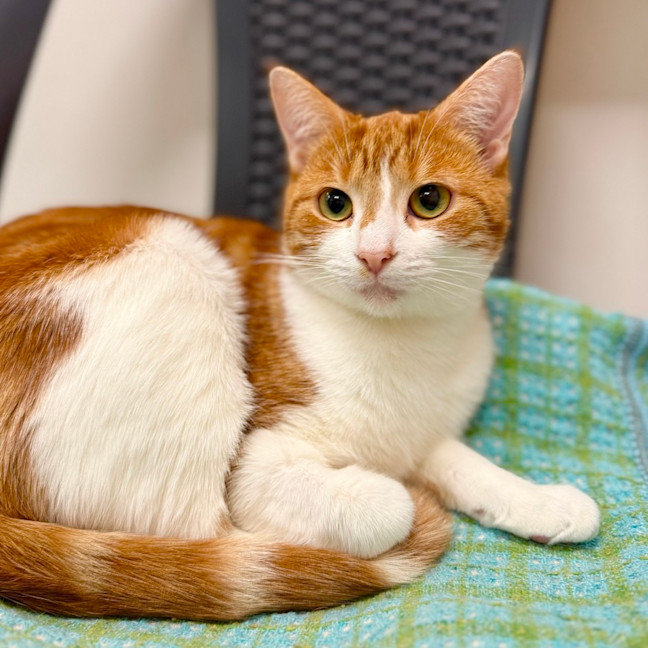 Photo of Mila & Mitzy