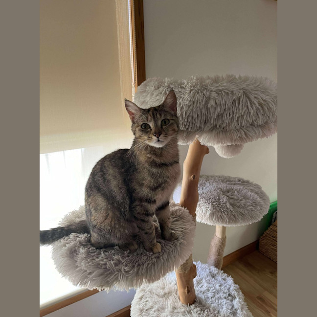 Photo of Bonnie 
