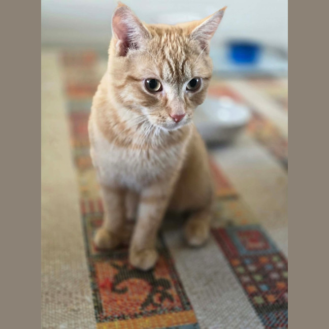 Photo of Bartholomew