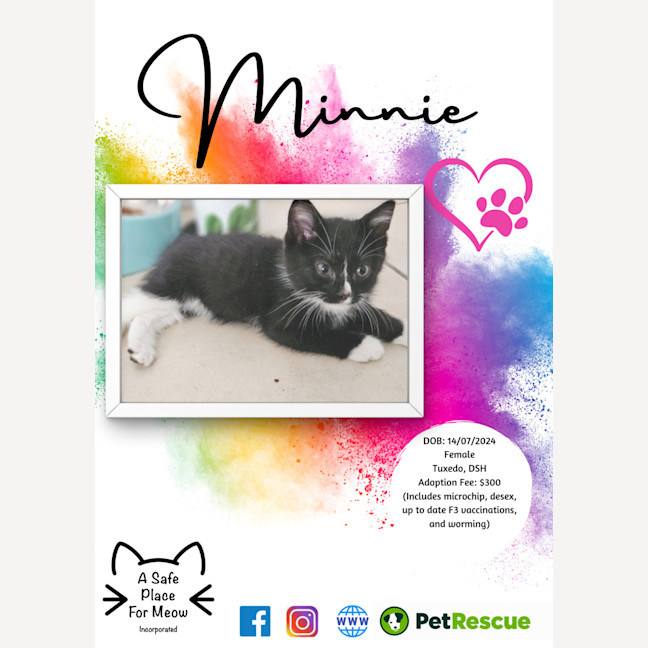 Photo of Mintie