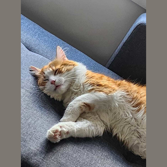 Photo of Jasper