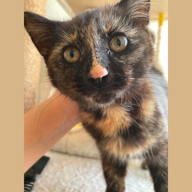 Photo of Muriel
