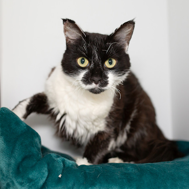 Photo of Betty