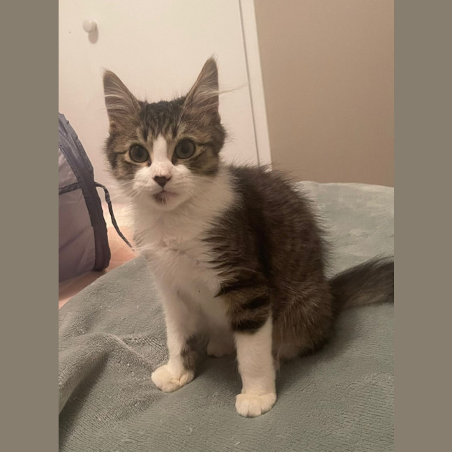 Photo of Alfie