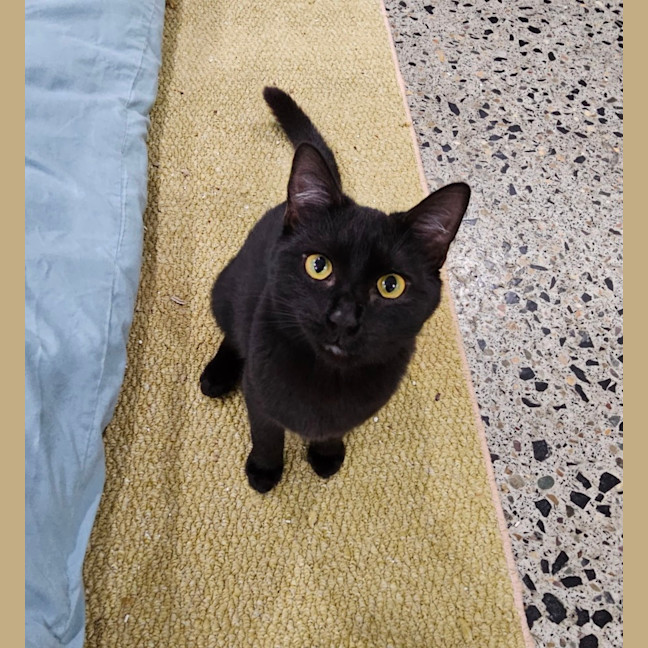 Photo of Bell