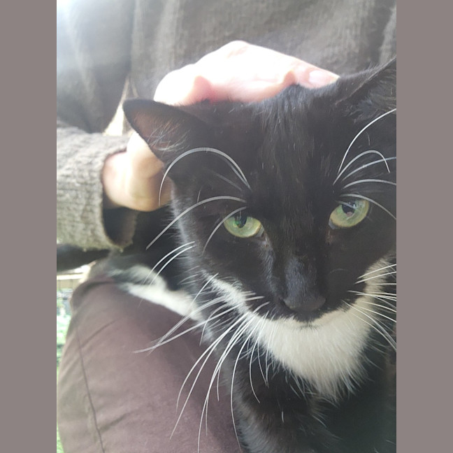 Photo of Maggie
