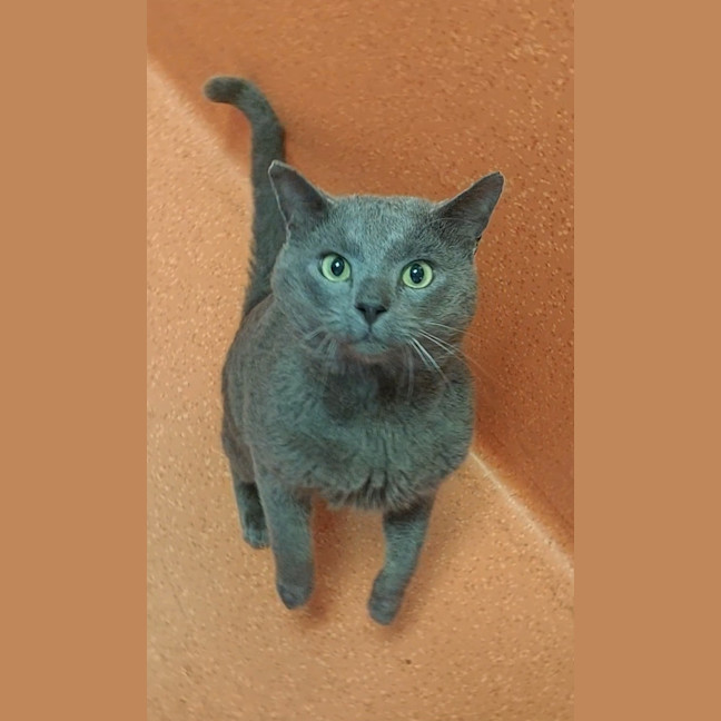 Photo of Casper