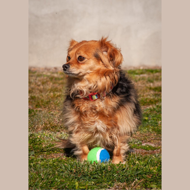 Photo of Lilly