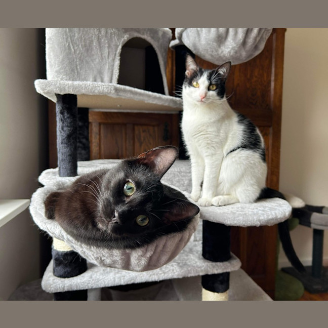 Photo of Eddie & Akira