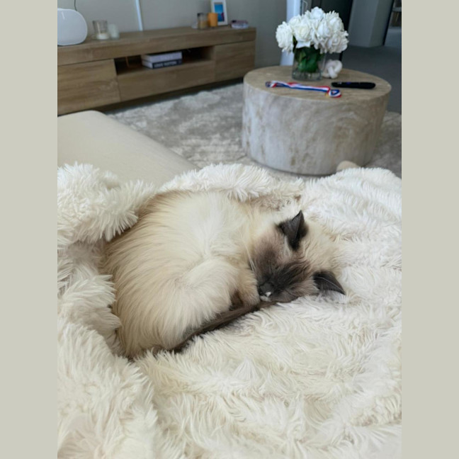 Photo of Star