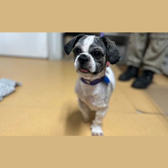 Photo of Max
