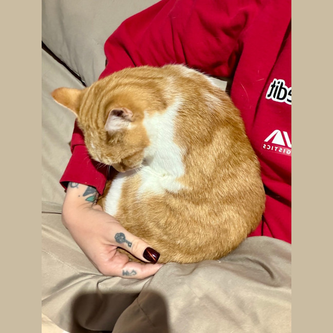 Photo of Peanut