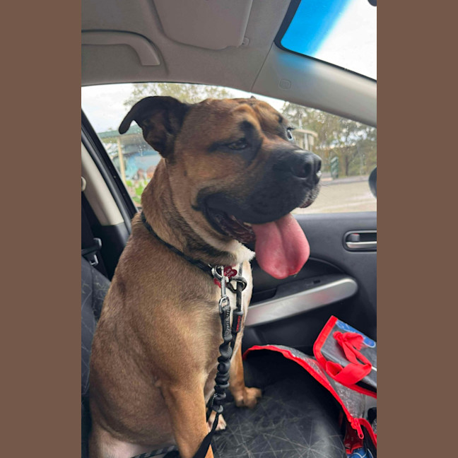 Photo of Arlo