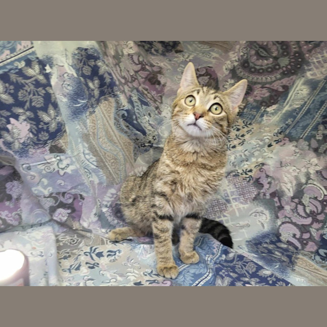 Photo of Akari 