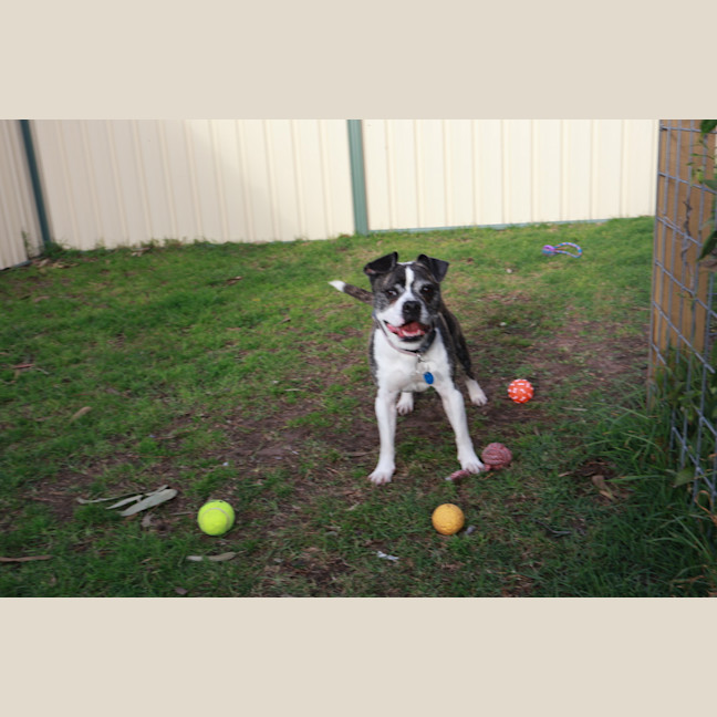Photo of Bug