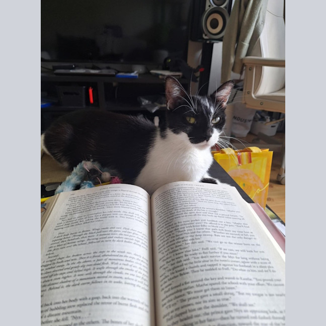 Photo of Lily