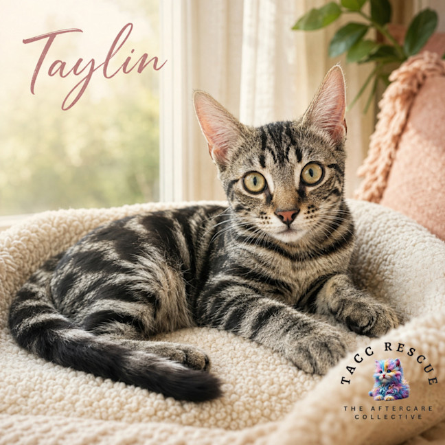 Photo of Taylin