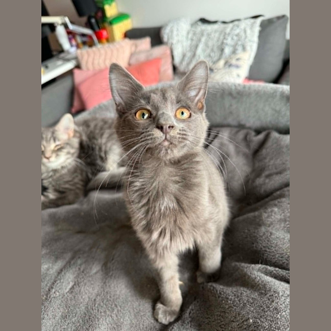 Photo of Arlo