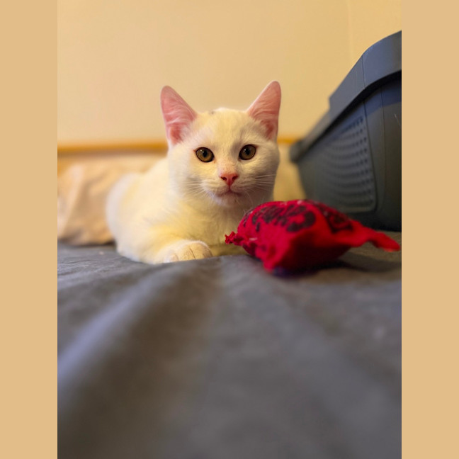 Photo of Evacuation Plan