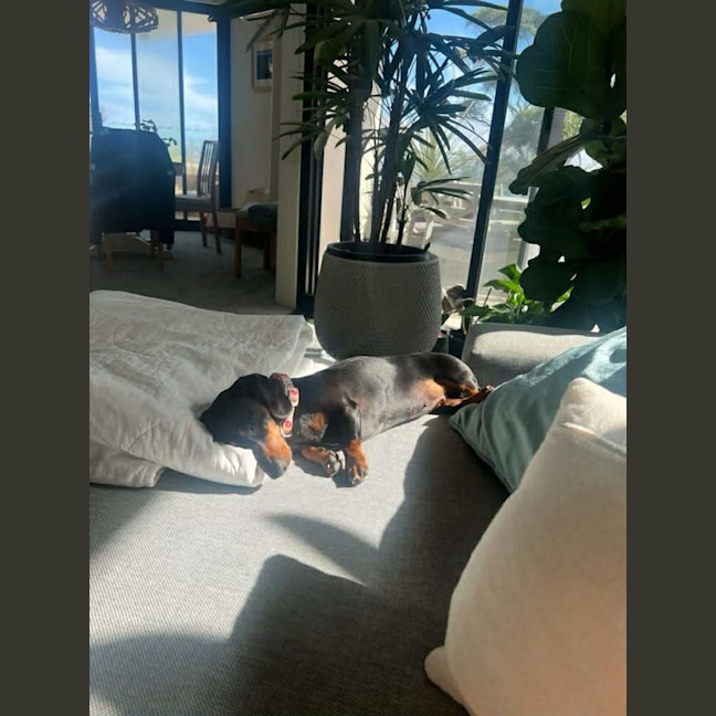 Photo of Molly