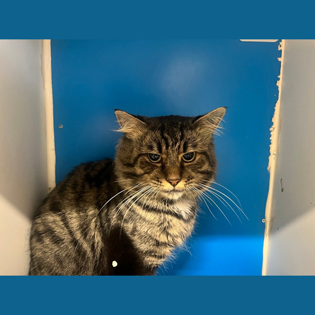 Photo of John Singer Sargent