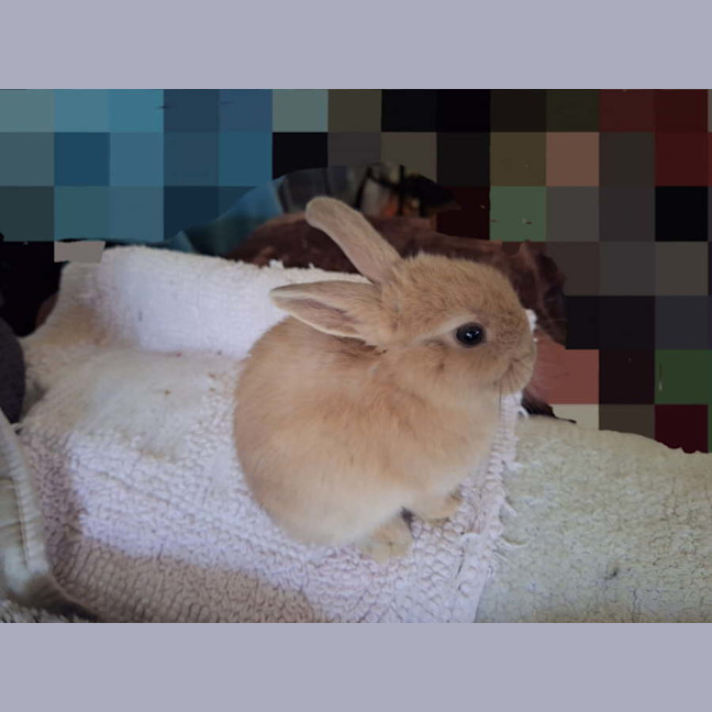 Photo of Lexi