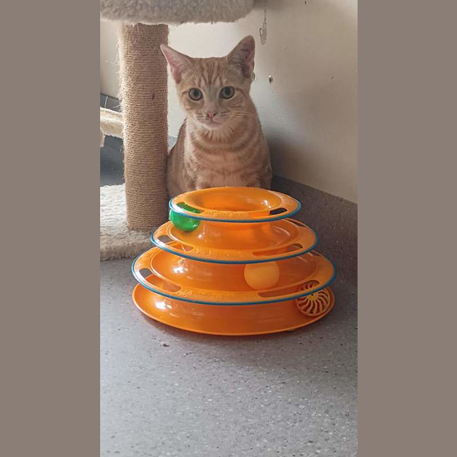 Photo of Victor