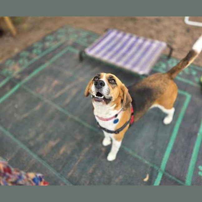 Photo of Josie