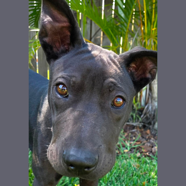 Photo of Zeke