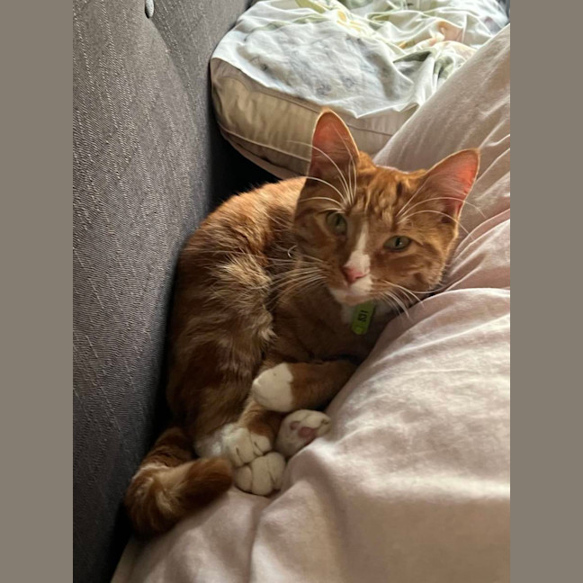 Photo of ⭐ Missy ⭐