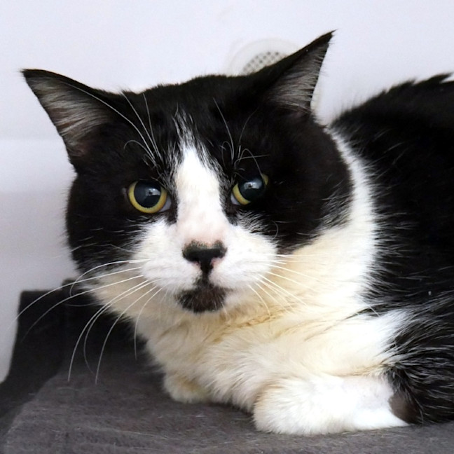 Photo of Scout Sta012819