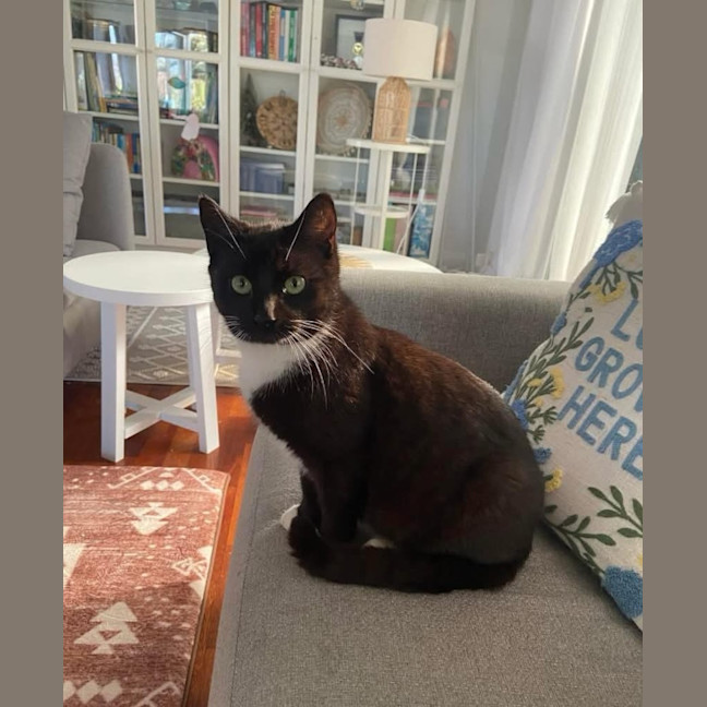 Photo of Midnight