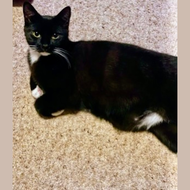 Photo of Boone