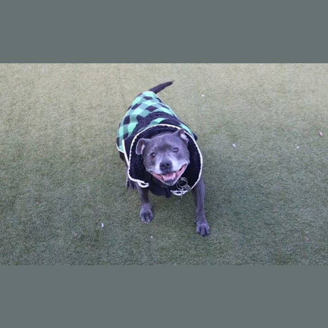 Photo of Billy