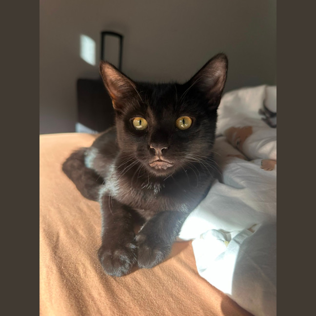 Photo of Giorgio 💙