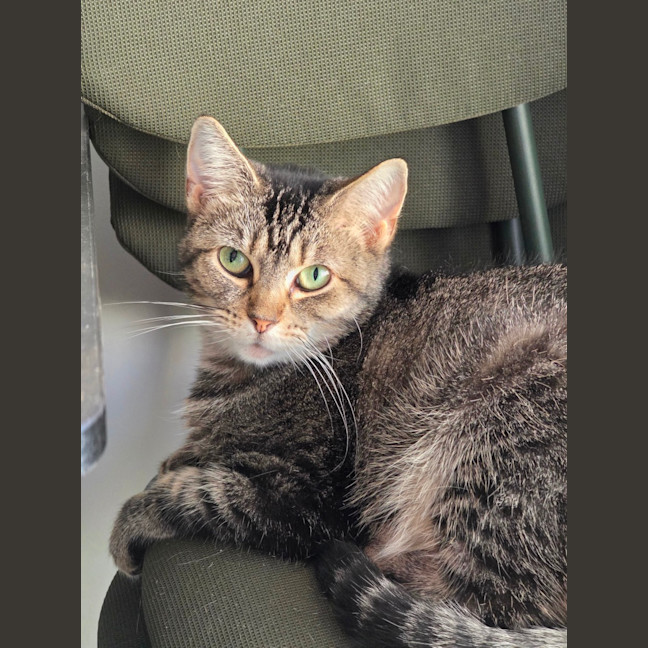 Photo of Jasmine