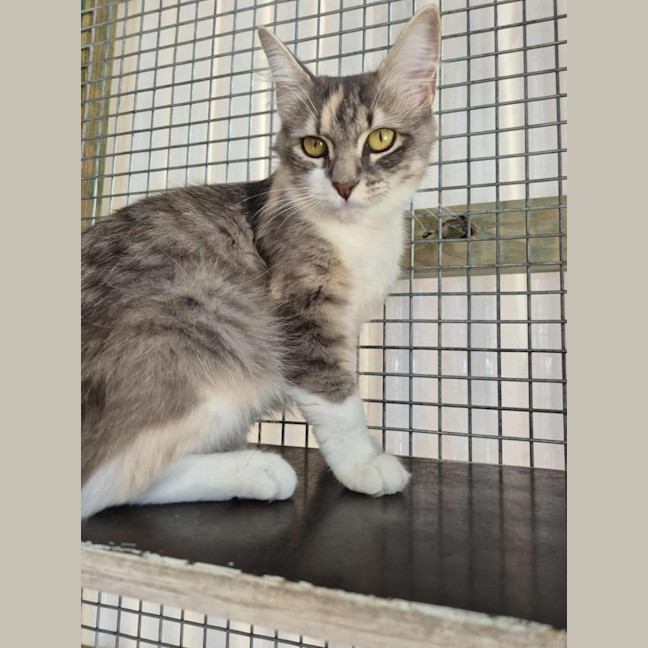 Photo of Spring! 🌷