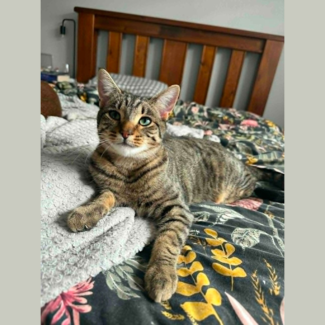 Photo of Klaus