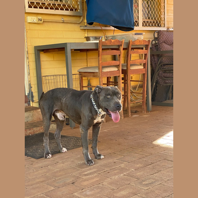 Photo of Murphy