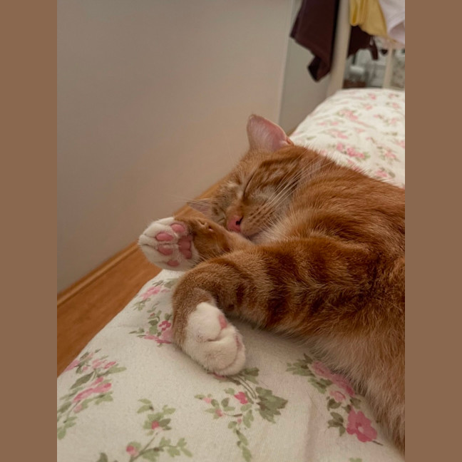 Photo of Grandpa George And Grandpa Joe