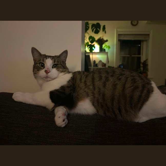 Photo of Lord Remington