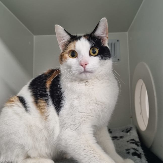 Photo of Jemima